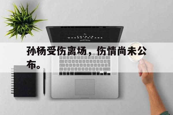 半岛体育app下载-孙杨受伤离场，伤情尚未公布。